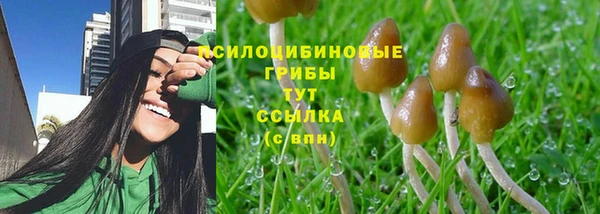 а пвп мука Арсеньев